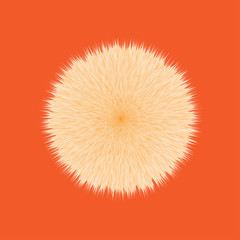 Orange Fluffy Hair Pom, 3D illustration on Orange