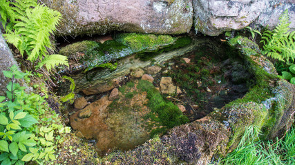 natural spring with water well