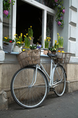 Fototapeta na wymiar Bicycle with flowers near the window of a flower shop