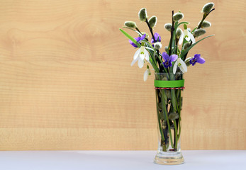 Spring composition with snowdrops, violets and willow twigs