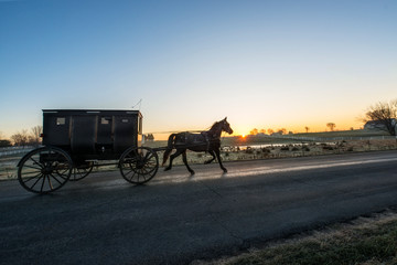 Fototapeta na wymiar Amish Horse and Buggy on Rural Road at Dawn