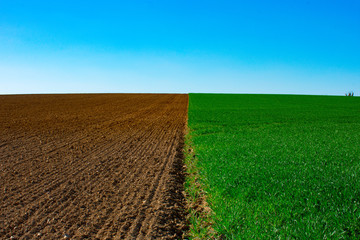 Brown field green field 