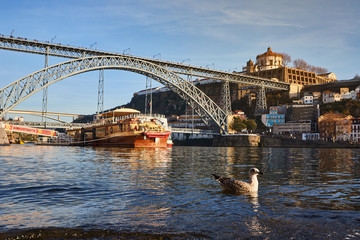 Naklejka premium Seagull sits on the embankment of the river Douro in old Porto with background of Dom Luis bridge, Portugal