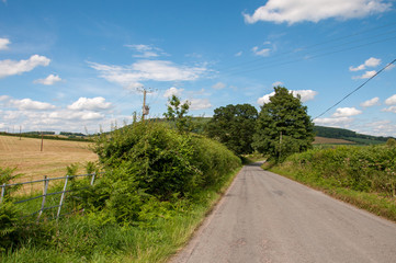 Country road in the summertime of Wales.