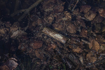 Wood in muddy water