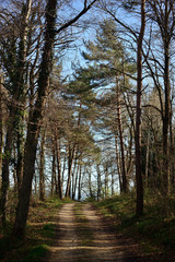 Obraz premium GR road 