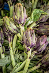 Obraz premium Fresh local artichokes and other vegetables at a Mercato Centrale market in Florence, Italy. It was opened in 1874.