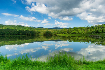 Fototapeta na wymiar Beautiful landscape Reflections of the blue sky and trees in the lake