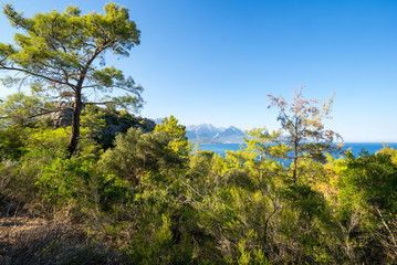 Fototapeta premium The coast of Mediterranean sea