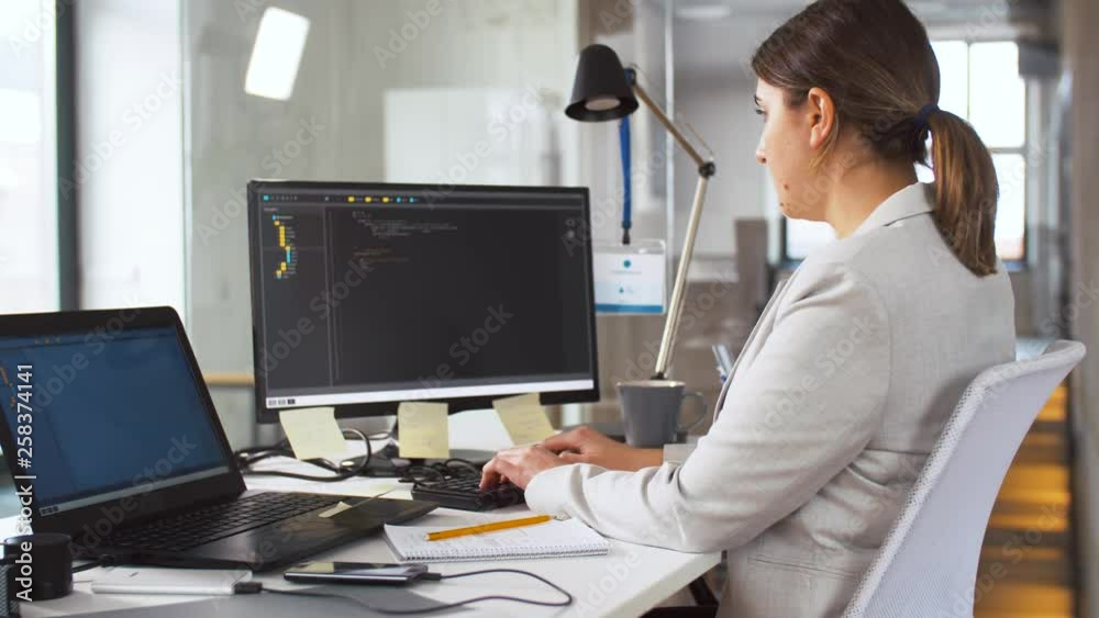 Wall mural business, programming and technology concept - female programmer with script on computer screen work