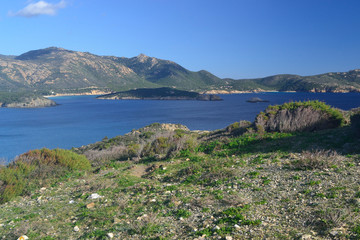 Fototapeta na wymiar Costa di Capo Malfatano
