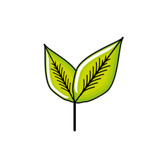 leaves tea nature isolated icon
