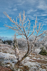 Winterlandschaft  mit Reif an den Bäumen