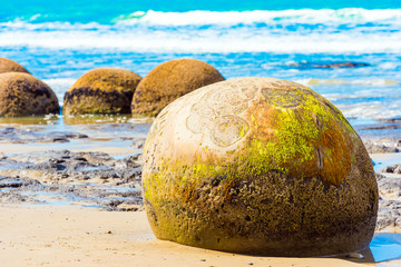 Fototapeta premium Moeraki boulders on Koyokokha beach in the Otago region, New Zealand.