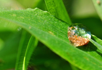 Wassertropfen