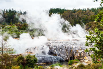 Hot Springs in Te Puia, Rotorua in New Zealand on the North Island.