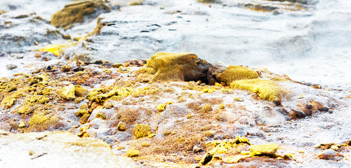 Stone texture, Te Puia, Rotorua, New Zealand.