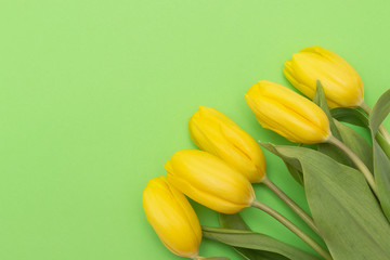 Obraz premium Żółte tulipany na zielonym tle.
