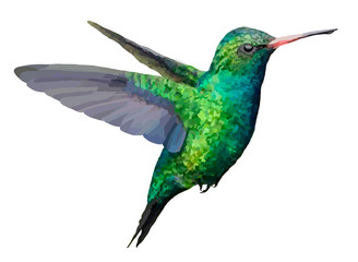 Colibr&iacute;
