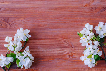Fototapeta na wymiar Flat lay composition with spring white flowers on a wooden background