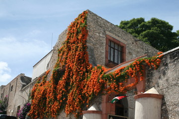 Primavera Pe&ntilde;a de Bernal