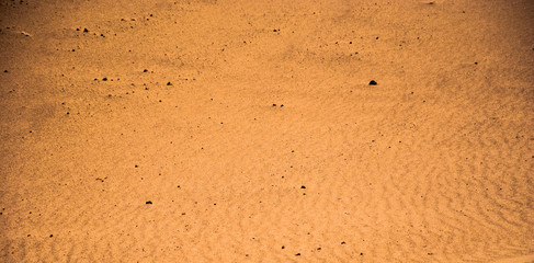 sandy ripples