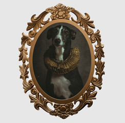 Imagen de un galgo en cuadro barroco dorado