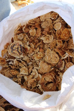 dried kachri or sane or Cucumis pubescens placed in a white bag in the market shop for sale