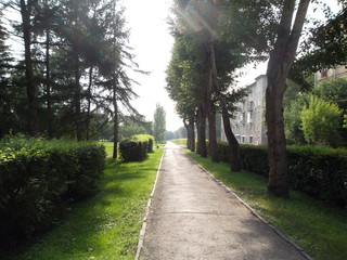 alley in the park