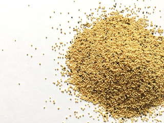 amaranth seeds on a white background. healthy vegan food. plant based nutrition. amaranth plant.