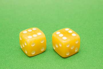 Amber daces close up on green background