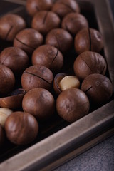 Macadamia nuts closeup.