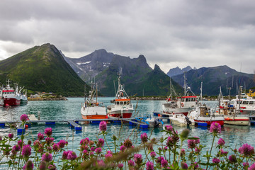 Husoy harbor near Senja island in Norway