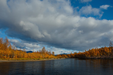 Russia. far East. The colours of autumn are cold-water rivers of Magadan.