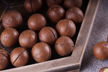 Macadamia nuts closeup.