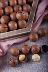 Macadamia nuts closeup.