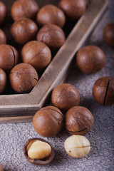 Macadamia nuts closeup.