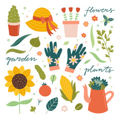 Garden vector illustrations and icons. Plants, flowers, floral elements