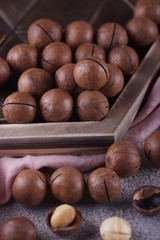 Macadamia nuts closeup.