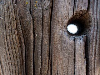 Fototapeta premium Beautiful natural dry tree trunk with hole. wooden background.wood texture
