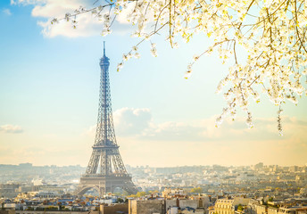 Fototapety  wycieczka po Eiffla i panoramę Paryża