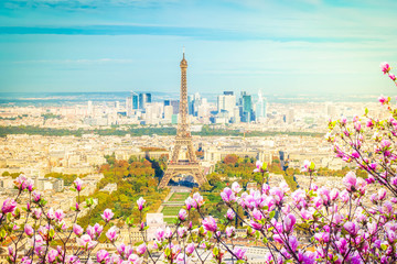 Fototapety  Wieża Eiffla i panoramę Paryża