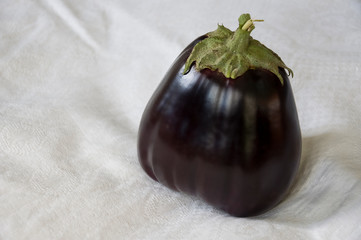 One rape eggplant is laying on the white background. Autumn vegetables. Delicious and healthy food