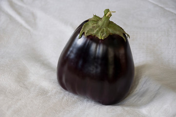 One rape eggplant is laying on the white background. Autumn vegetables. Delicious and healthy food