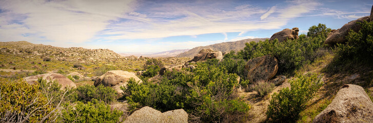 Panorama photo of Anza Desert California