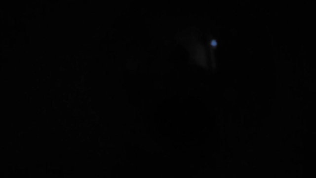 Lampe incandescence Slow Motion