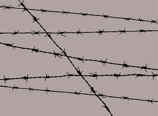 silhouette barbed wire on tan brown background isolated 