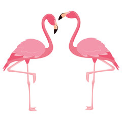 Obraz premium elegant flamingo birds couple