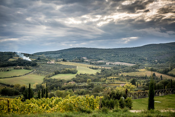 Fototapeta na wymiar Beautiful Tuscany landscape