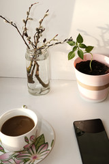 Potted plant and a willow vase, a cup of coffee and a smartphone, morning at the office at work